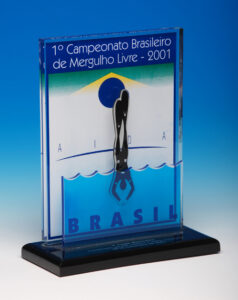 Troféu em acrílico personalizado — modelo 16 | Falcão Brindes