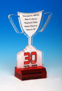 Troféu em acrílico personalizado — modelo 47 | Falcão Brindes